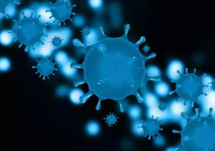 新冠病毒更喜歡脂肪嗎？肥胖人群是不是更容易感染新冠？