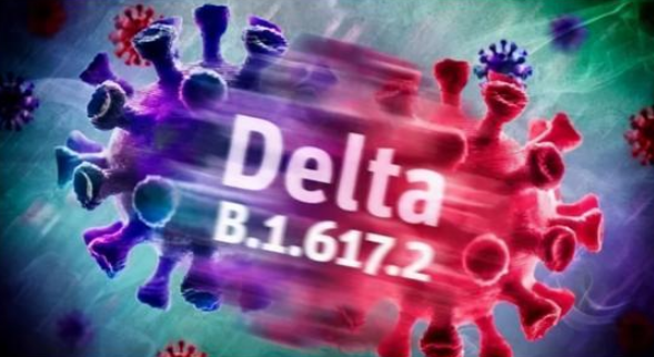 南京疫情病毒毒株是德爾塔毒株？德爾塔毒株有哪些特點(diǎn)？